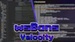 Icon for wsBans Velocity on Modrinth